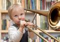 Развитие музыкальных способностей у детей дошкольного возраста через музыкально-дидактические игры