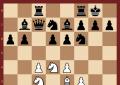 Ёж в шахматах: Учебник стратегии и тактики Еж шахматы